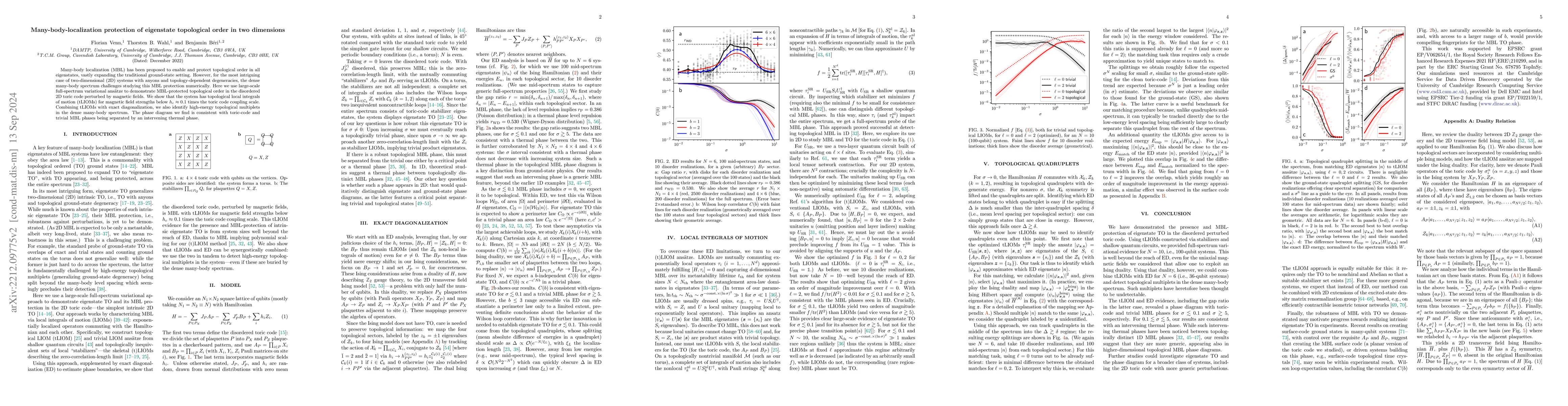 Thumbnail for Many-body-localization protection of eigenstate topological order in two
  dimensions