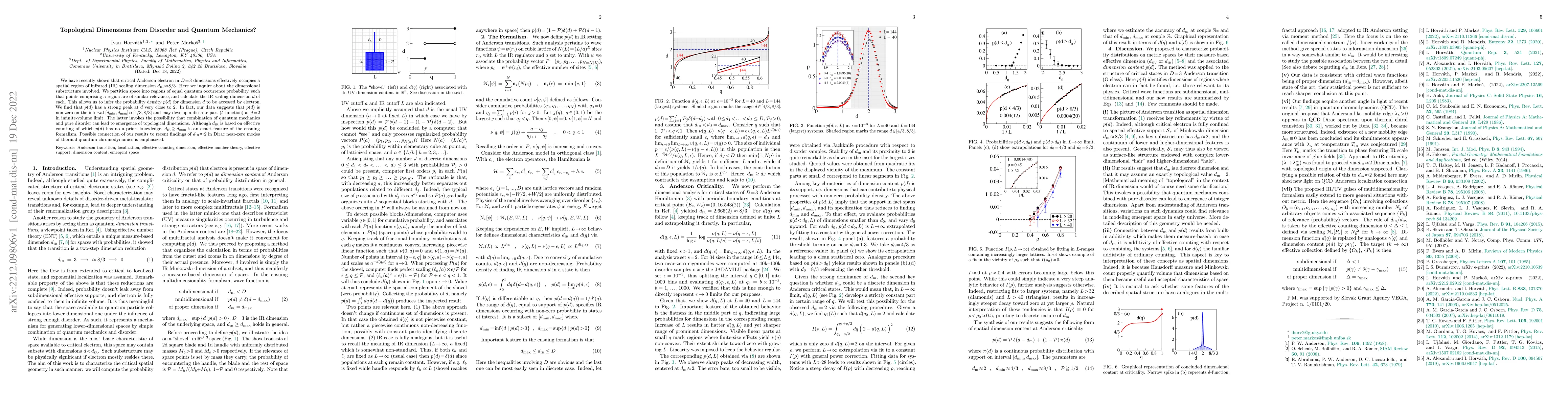Thumbnail for Topological Dimensions from Disorder and Quantum Mechanics?