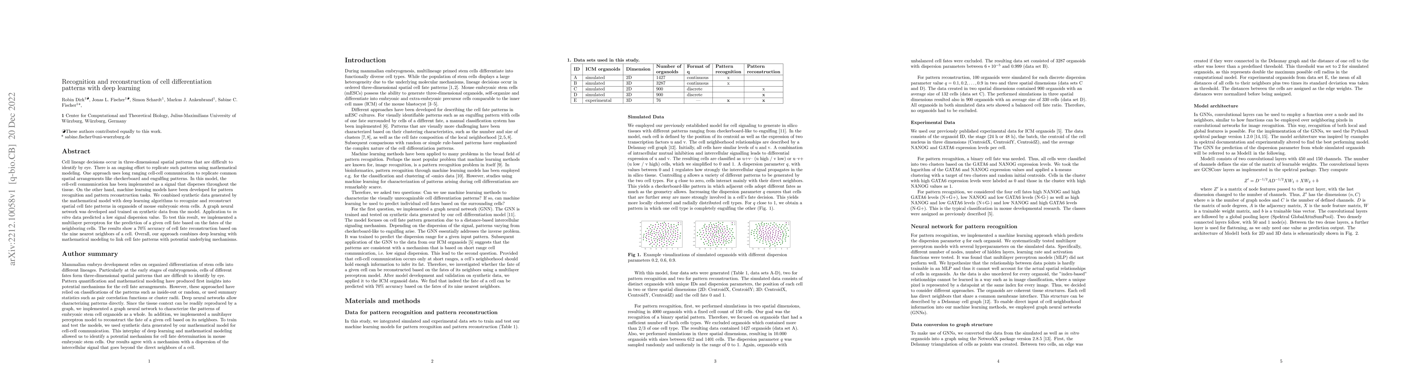 Thumbnail for Recognition and reconstruction of cell differentiation patterns with
  deep learning