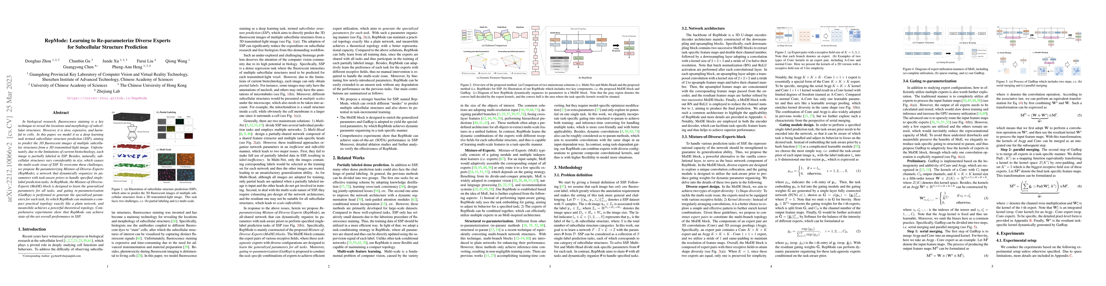 Thumbnail for RepMode: Learning to Re-parameterize Diverse Experts for Subcellular
  Structure Prediction