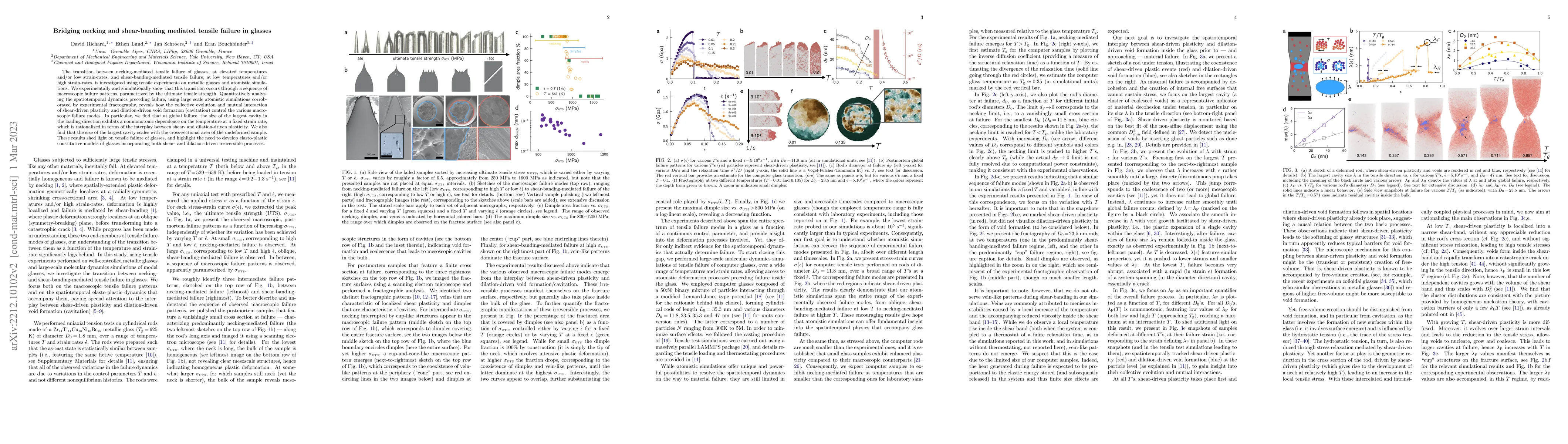 Thumbnail for Bridging necking and shear-banding mediated tensile failure in glasses