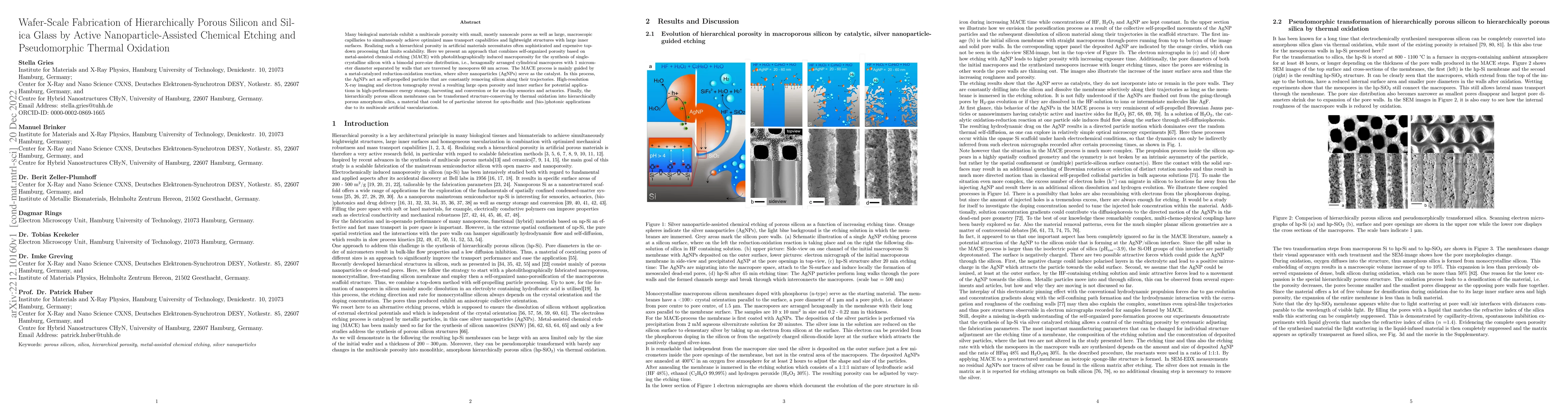 Thumbnail for Wafer-Scale Fabrication of Hierarchically Porous Silicon and Silica
  Glass by Active Nanoparticle-Assisted Chemical Etching and Pseudomorphic
  Thermal Oxidation