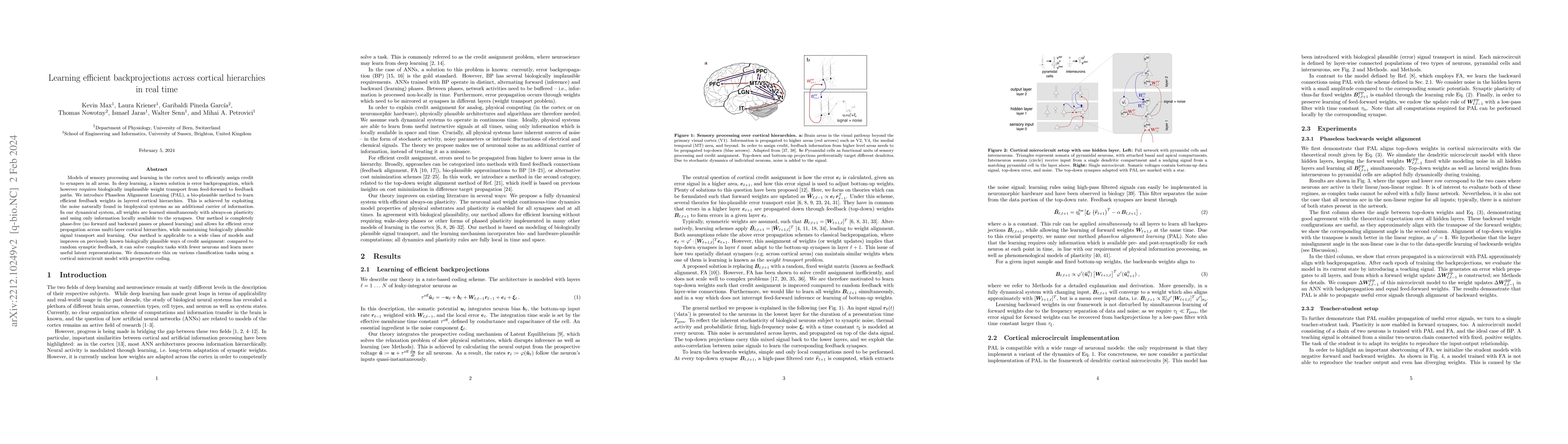 Thumbnail for Learning efficient backprojections across cortical hierarchies in real
  time