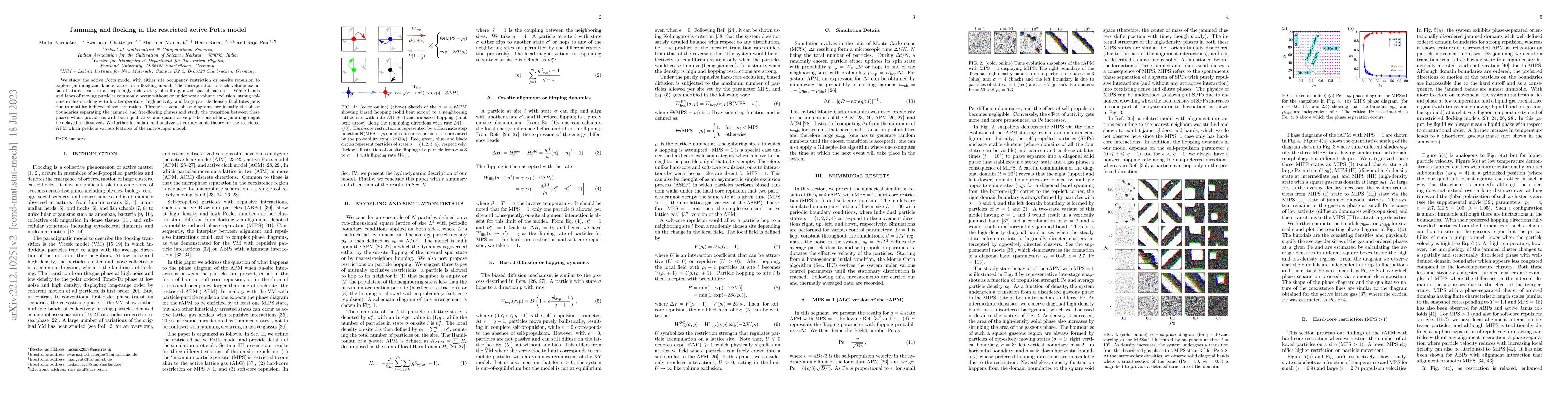 Thumbnail for Jamming and flocking in the restricted active Potts model