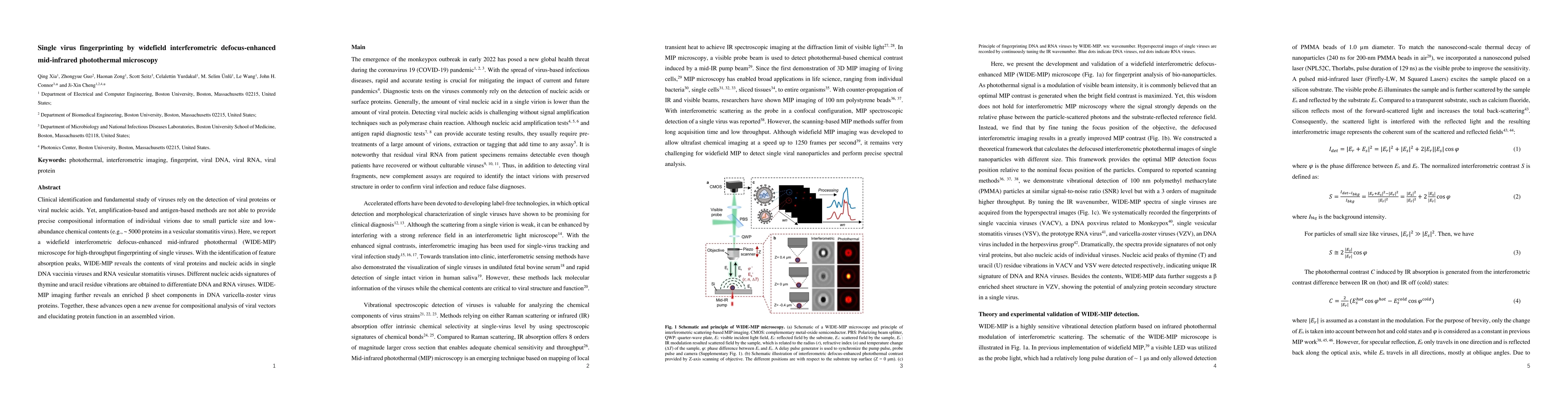 Thumbnail for Single virus fingerprinting by widefield interferometric
  defocus-enhanced mid-infrared photothermal microscopy
