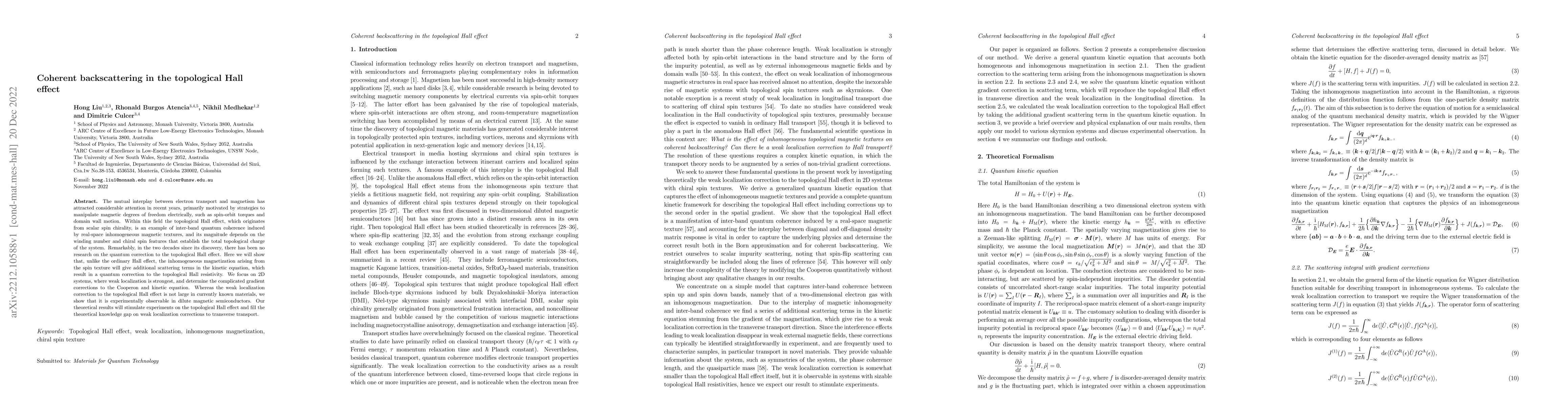 Thumbnail for Coherent backscattering in the topological Hall effect