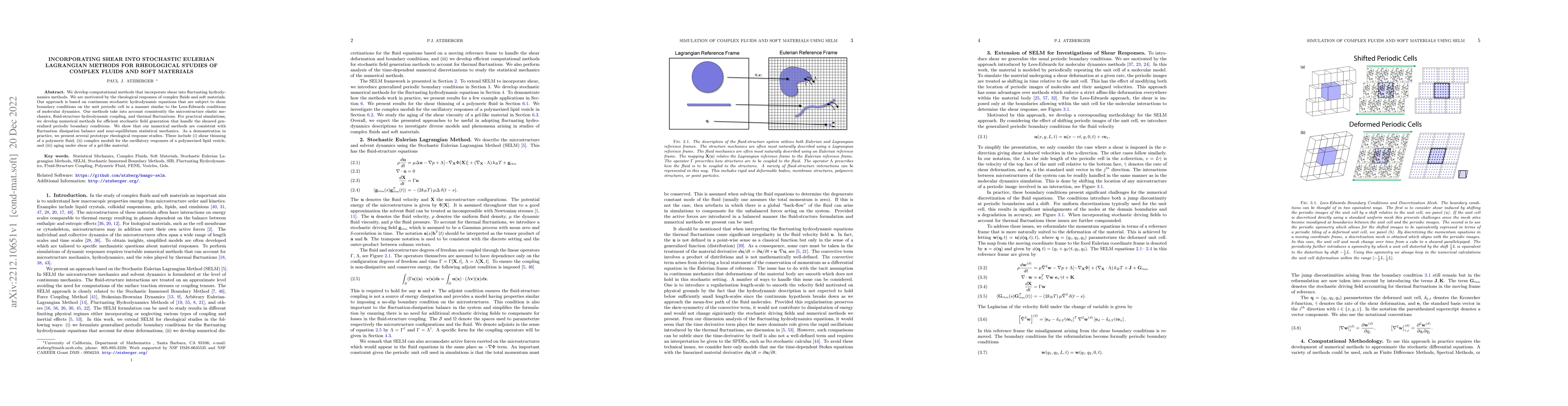 Thumbnail for Incorporating Shear into Stochastic Eulerian Lagrangian Methods for
  Rheological Studies of Complex Fluids and Soft Materials