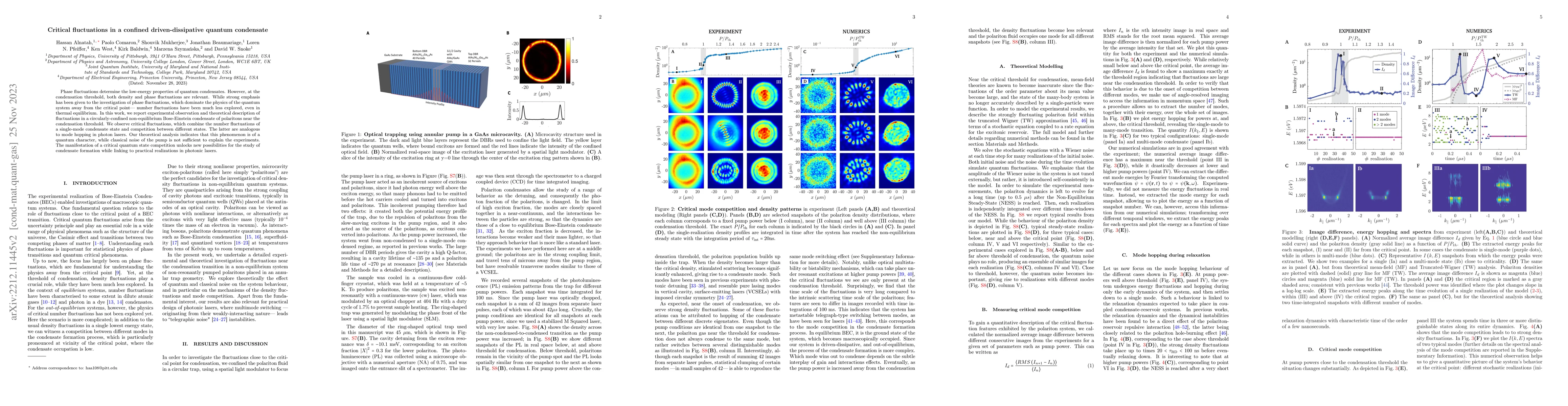 Thumbnail for Critical fluctuations in a confined driven-dissipative quantum
  condensate