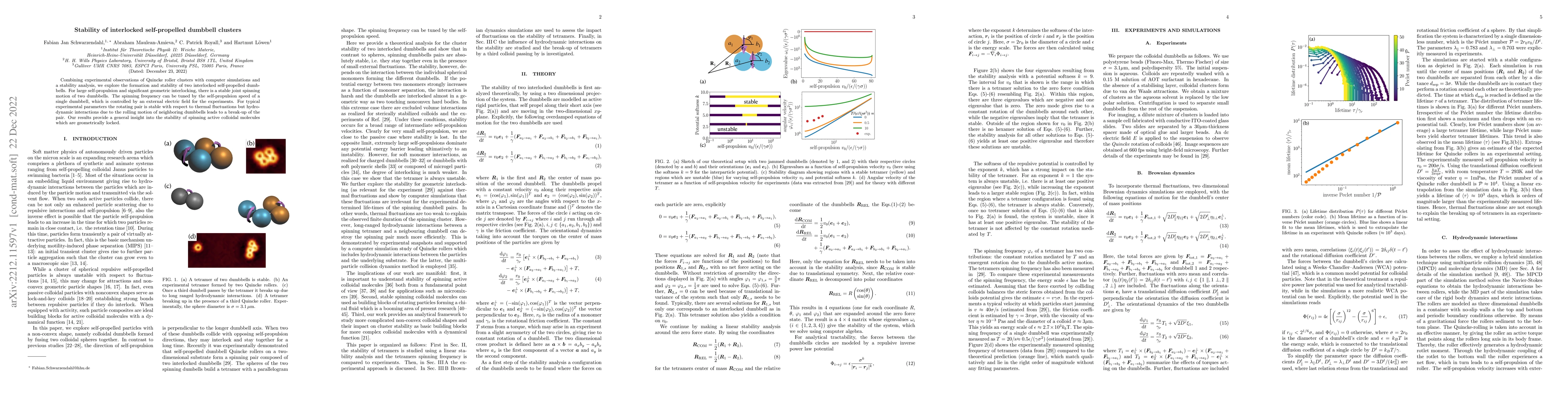 Thumbnail for Stability of interlocked self-propelled dumbbell clusters