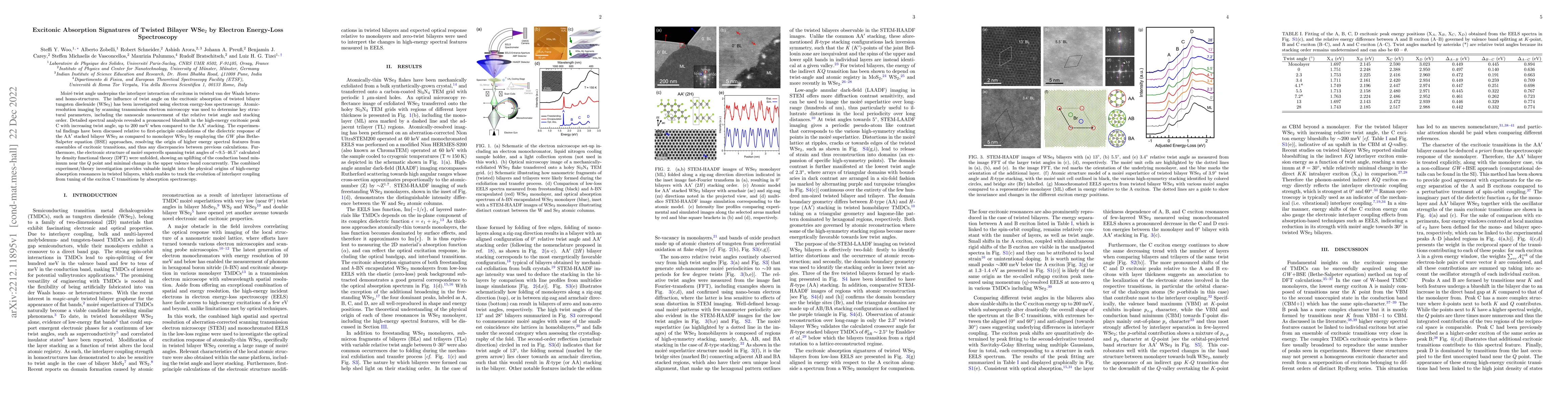 Thumbnail for Excitonic Absorption Signatures of Twisted Bilayer WSe$_{2}$ by Electron
  Energy-Loss Spectroscopy