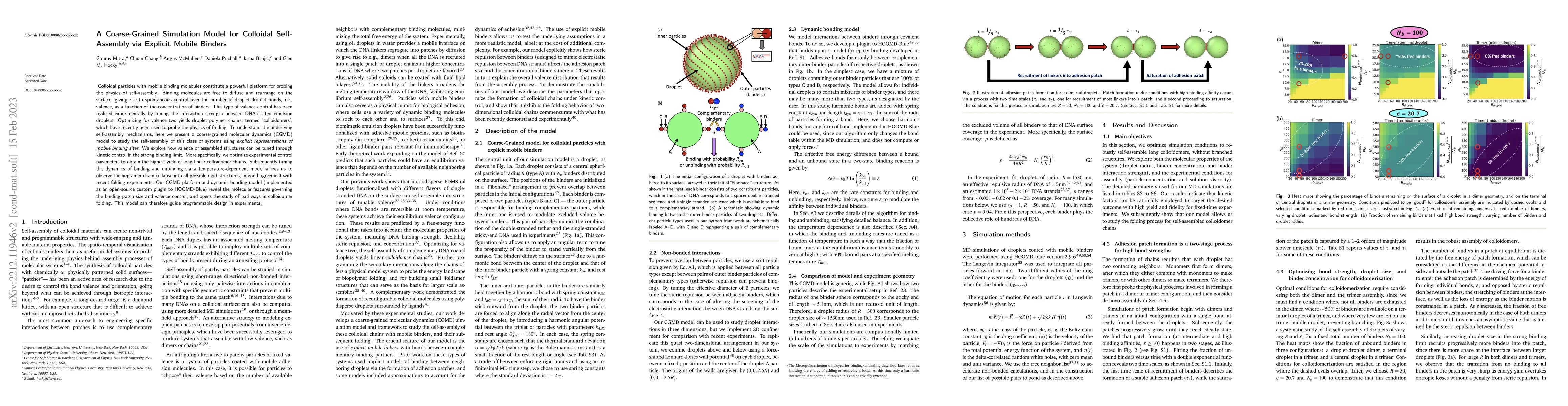 Thumbnail for A Coarse-Grained Simulation Model for Self-Assembly of Liquid Droplets
  Featuring Explicit Mobile Binders
