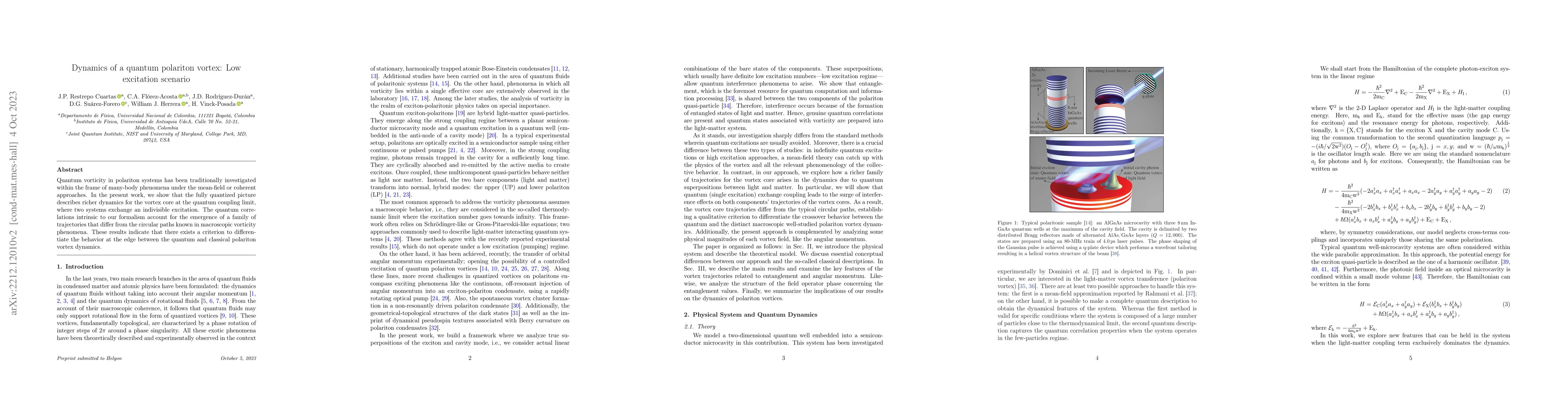 Thumbnail for Dynamics of a quantum polariton vortex: Low excitation scenario