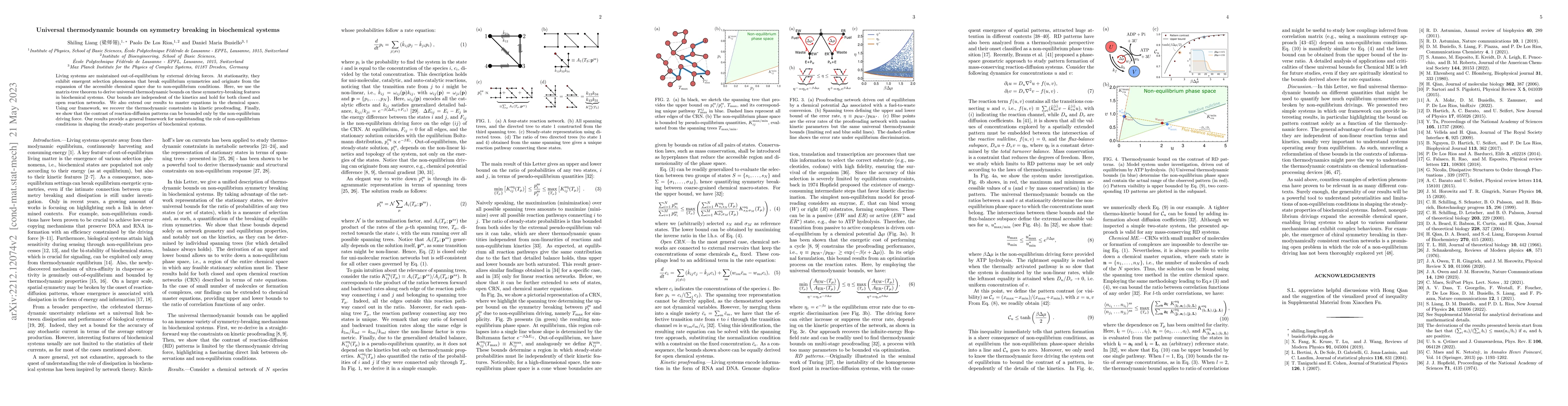 Thumbnail for Universal thermodynamic bounds on symmetry breaking in biochemical
  systems