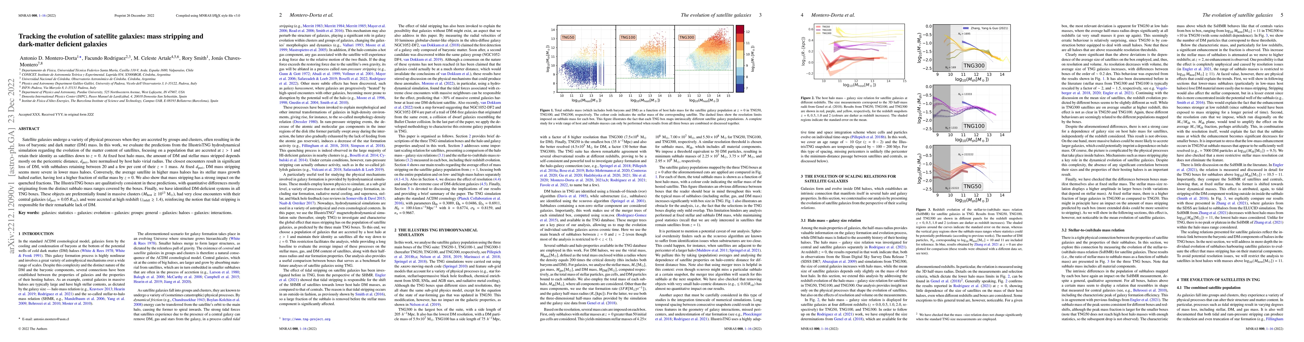 Thumbnail for Tracking the evolution of satellite galaxies: mass stripping and
  dark-matter deficient galaxies