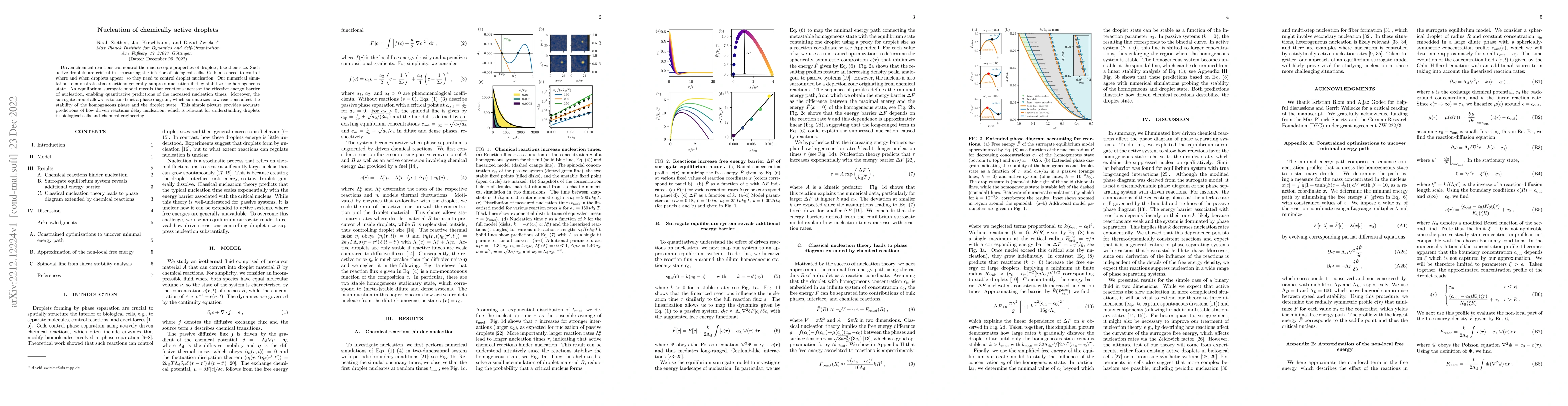 Thumbnail for Nucleation of chemically active droplets