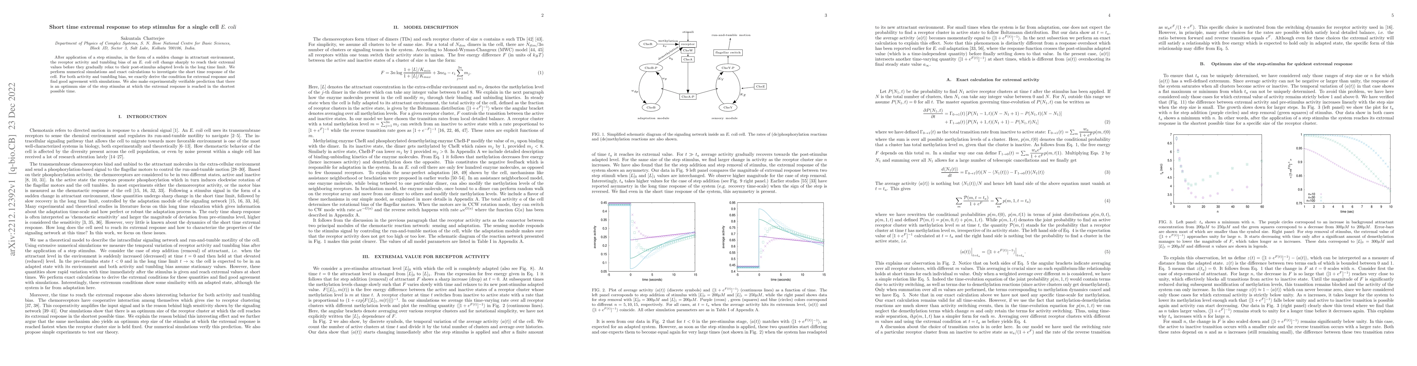 Thumbnail for Short time extremal response to step stimulus for a single cell {\sl E.
  coli}