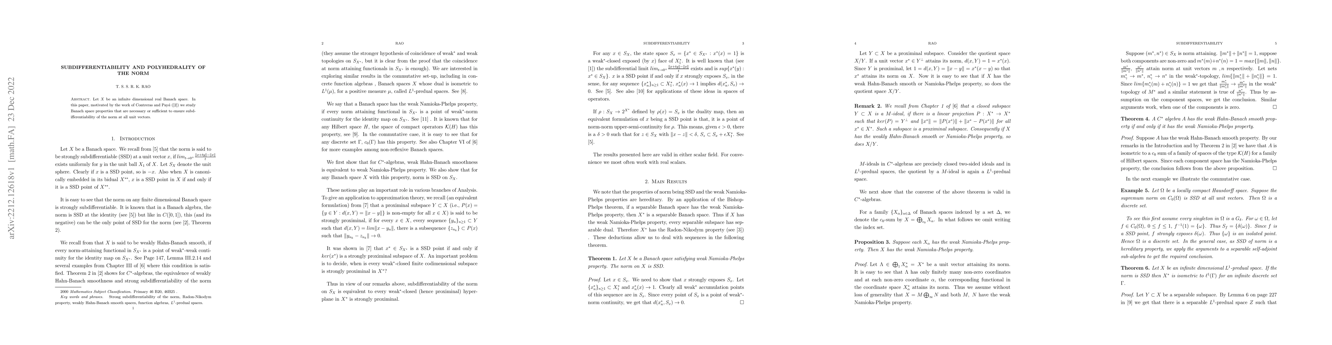 Thumbnail for Subdifferentiability and polyhedrality of the norm