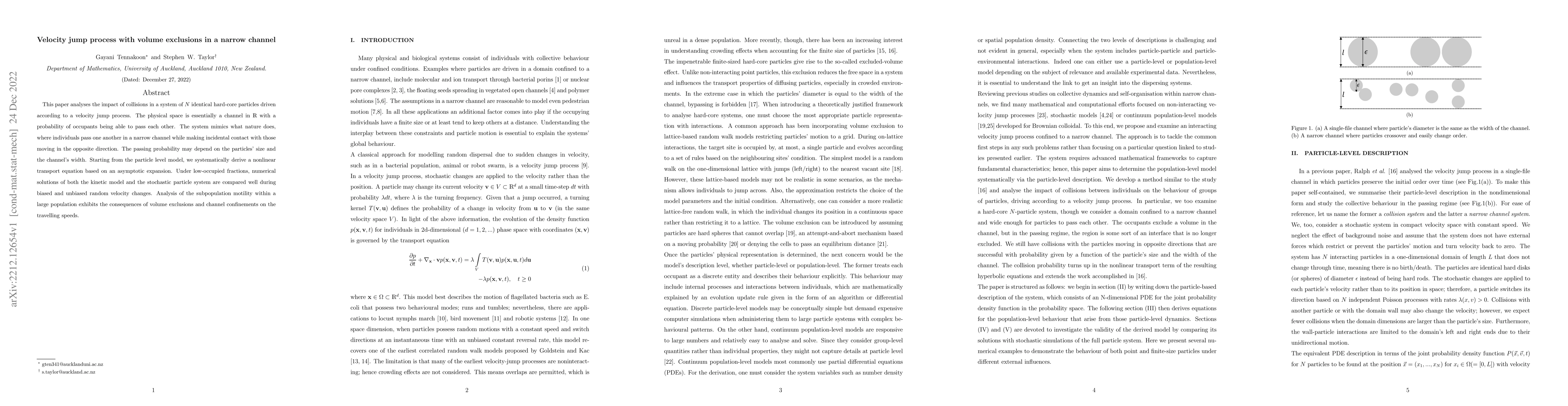 Thumbnail for Velocity jump process with volume exclusions in a narrow channel
