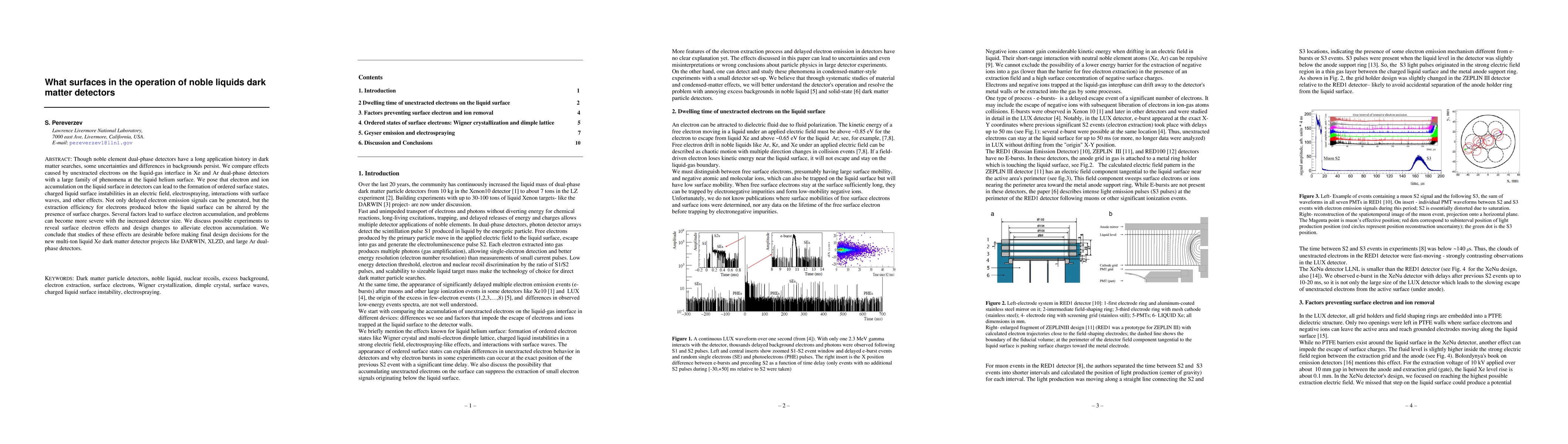 Thumbnail for What surfaces in the operation of noble liquids dark matter detectors