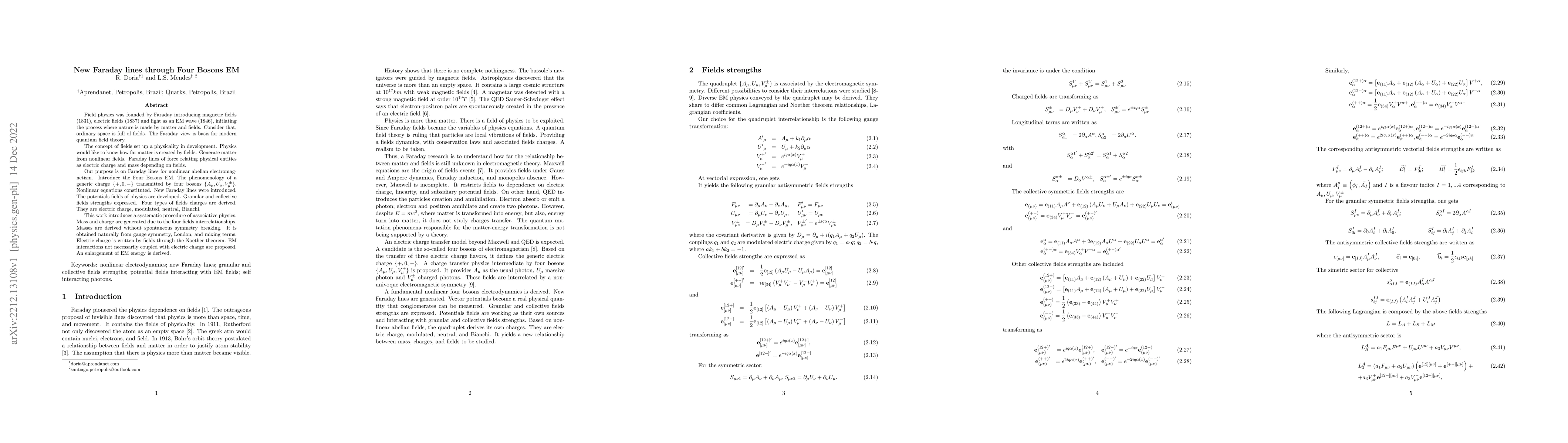 Thumbnail for New Faraday lines through Four Bosons EM