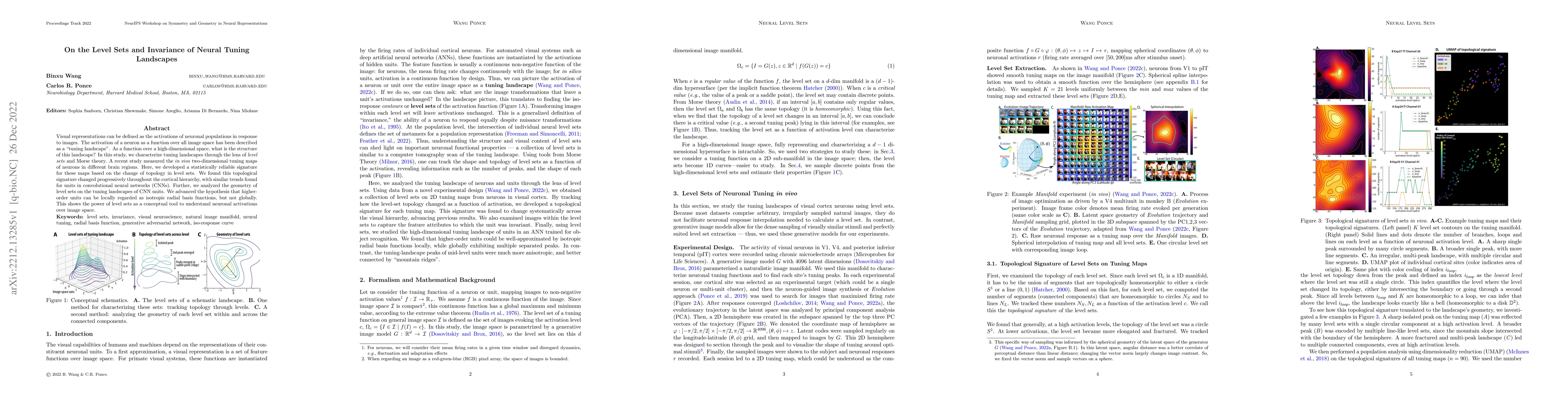 Thumbnail for On the Level Sets and Invariance of Neural Tuning Landscapes