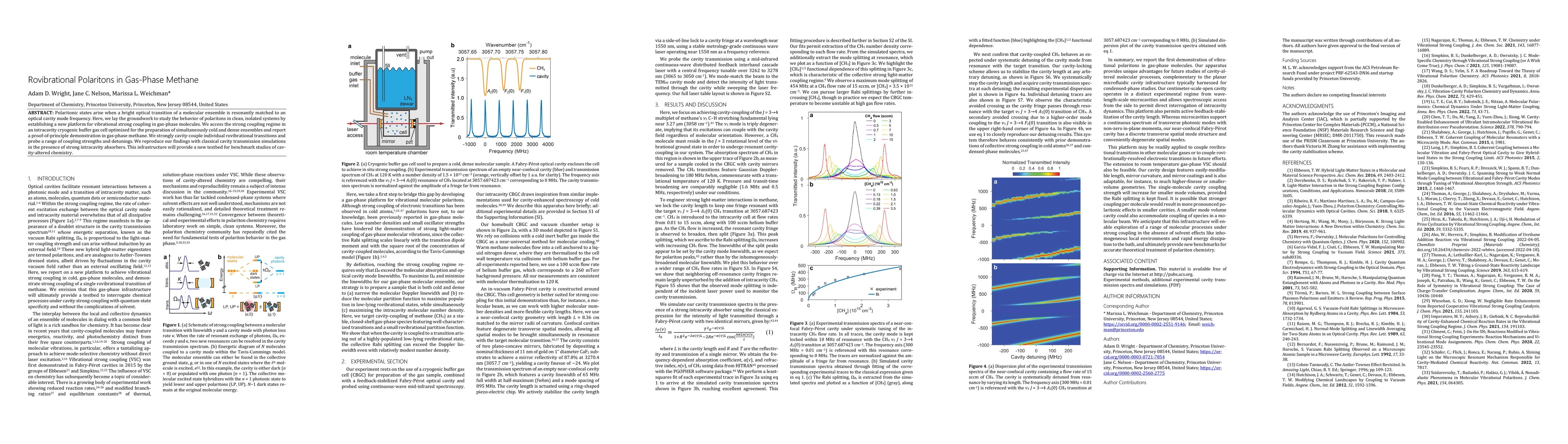 Thumbnail for Rovibrational Polaritons in Gas-Phase Methane