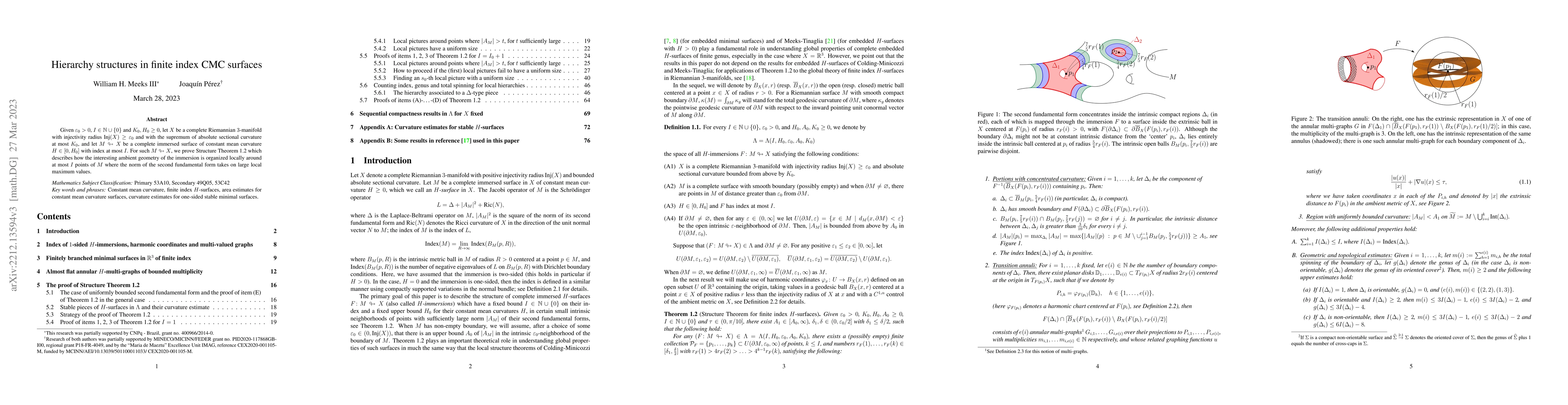 Thumbnail for Hierarchy structures in finite index CMC surfaces