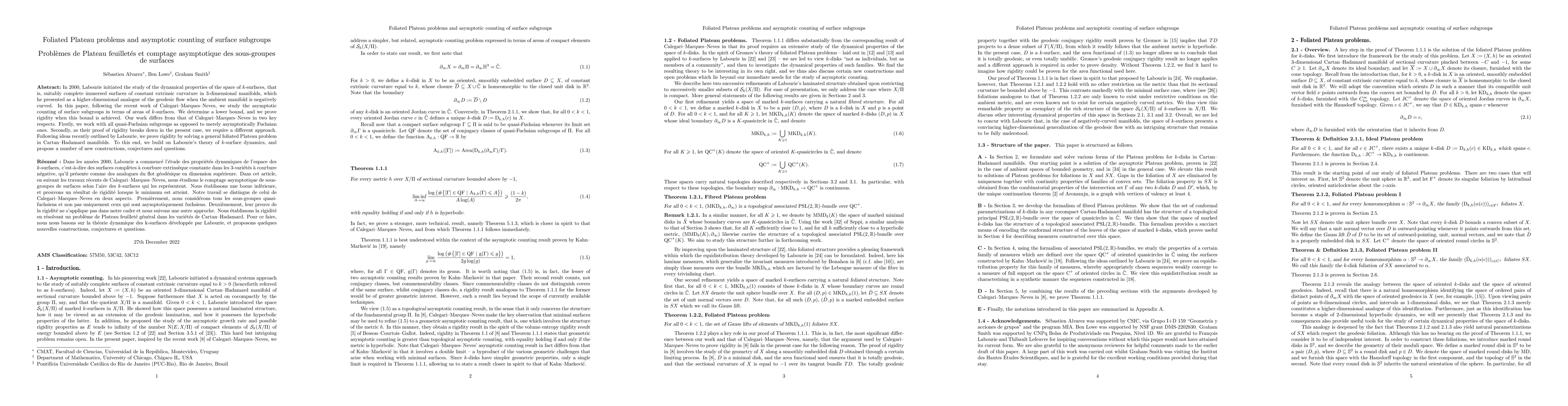 Thumbnail for Foliated Plateau problems and asymptotic counting of surface subgroups