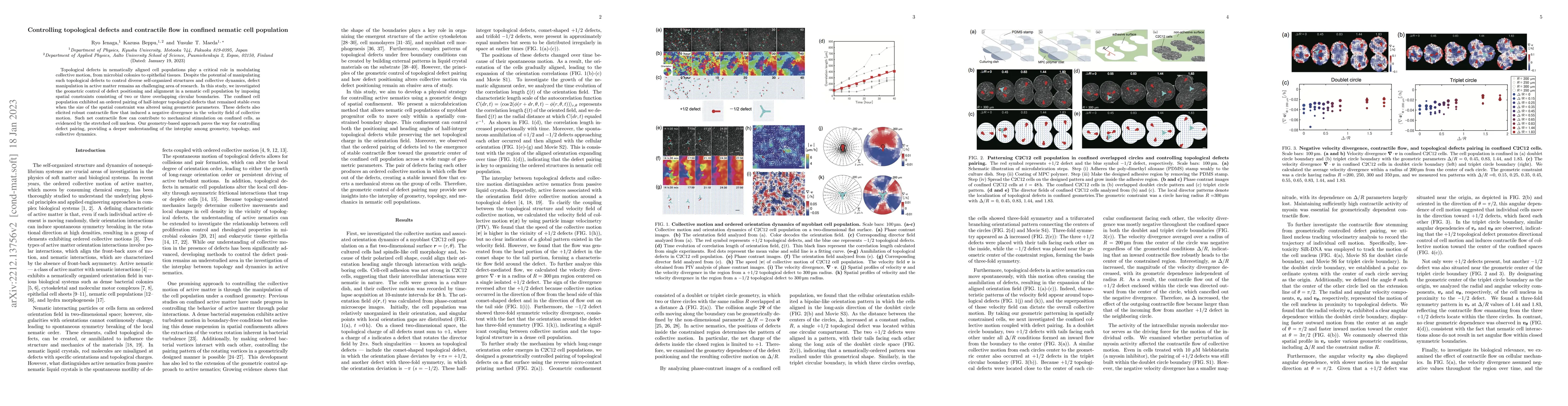 Thumbnail for Controlling topological defects and contractile flow in confined nematic
  cell population