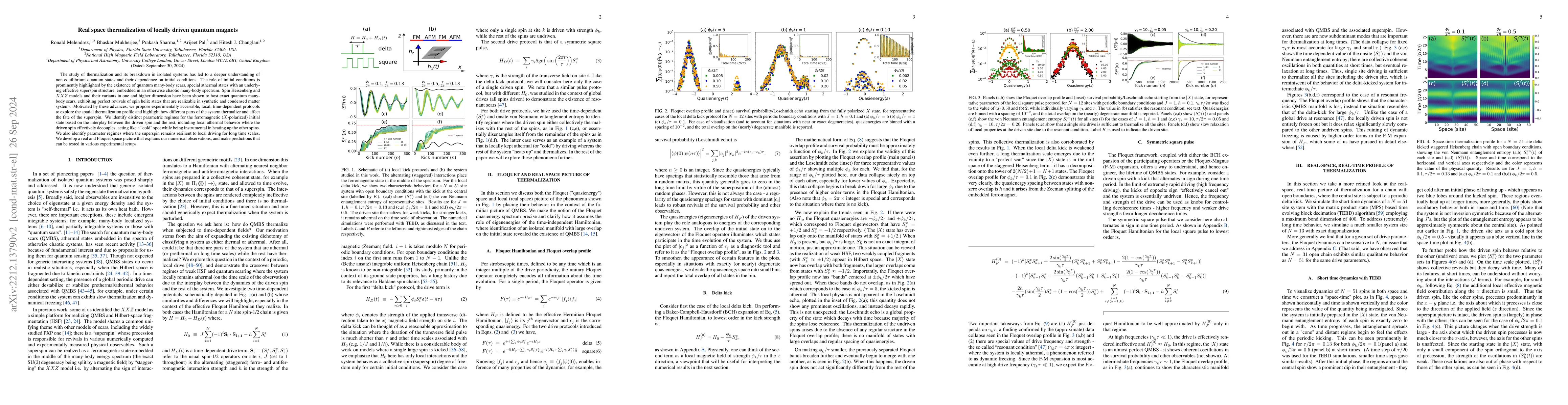 Thumbnail for Real space thermalization of locally driven quantum magnets