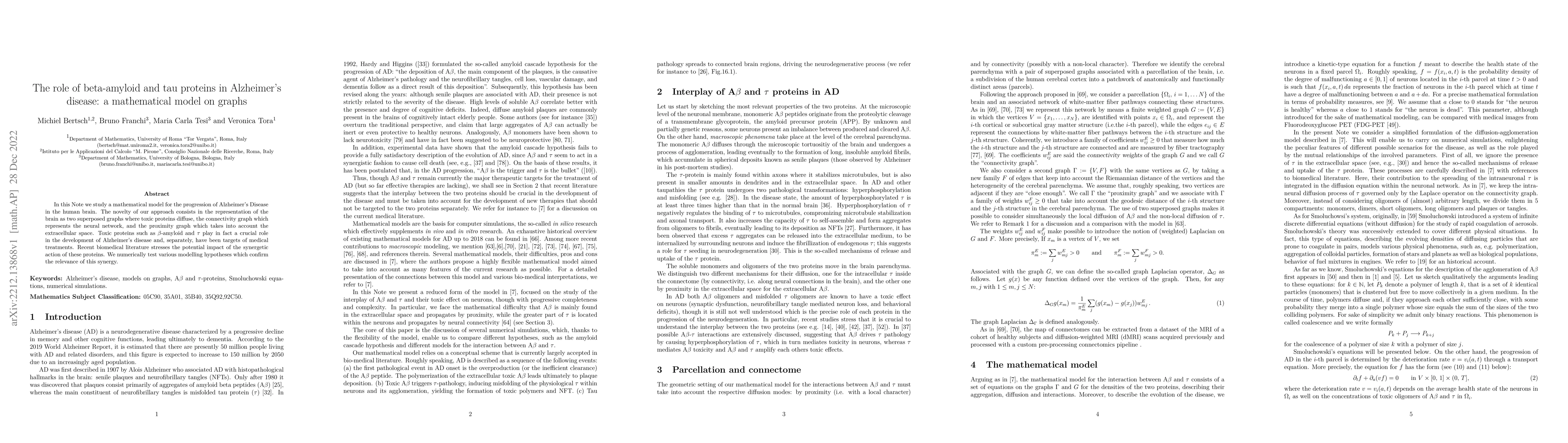 Thumbnail for The role of beta-amyloid and tau proteins in Alzheimer's disease: a
  mathematical model on graph