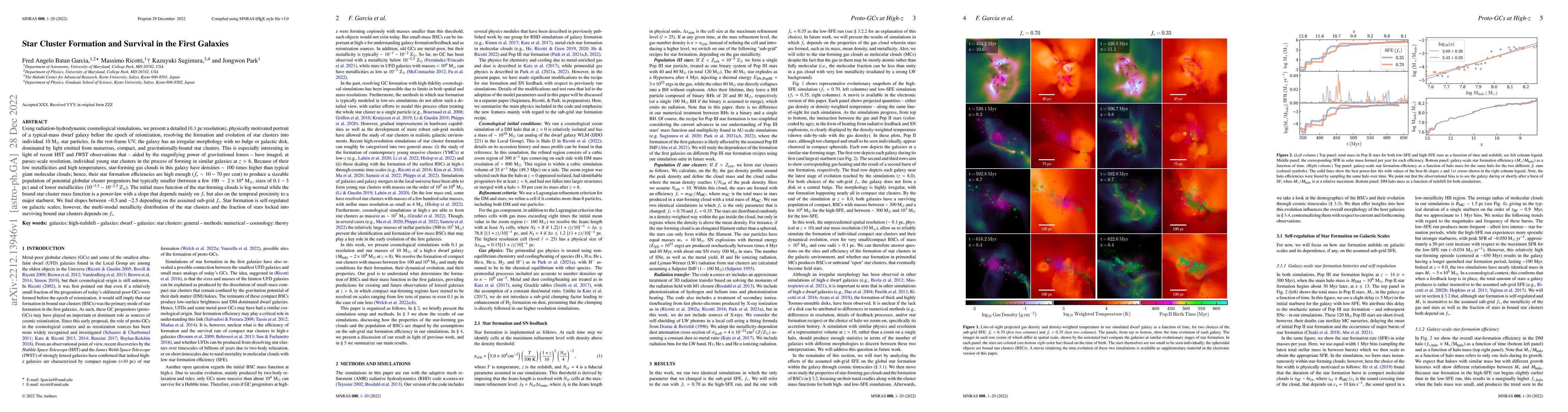 Thumbnail for Star Cluster Formation and Survival in the First Galaxies