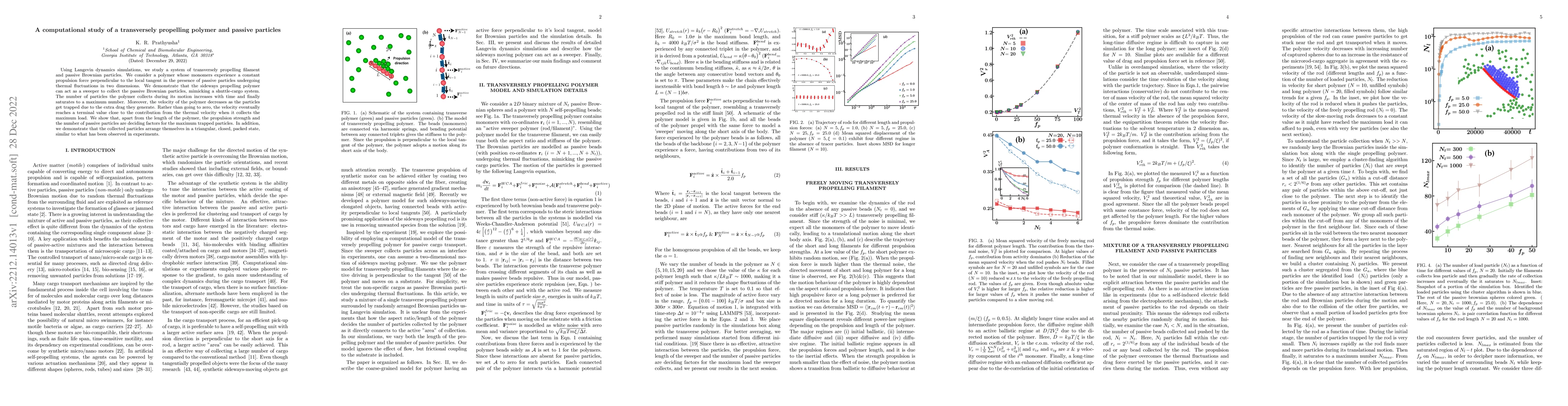 Thumbnail for A computational study of a transversely propelling polymer and passive
  particles