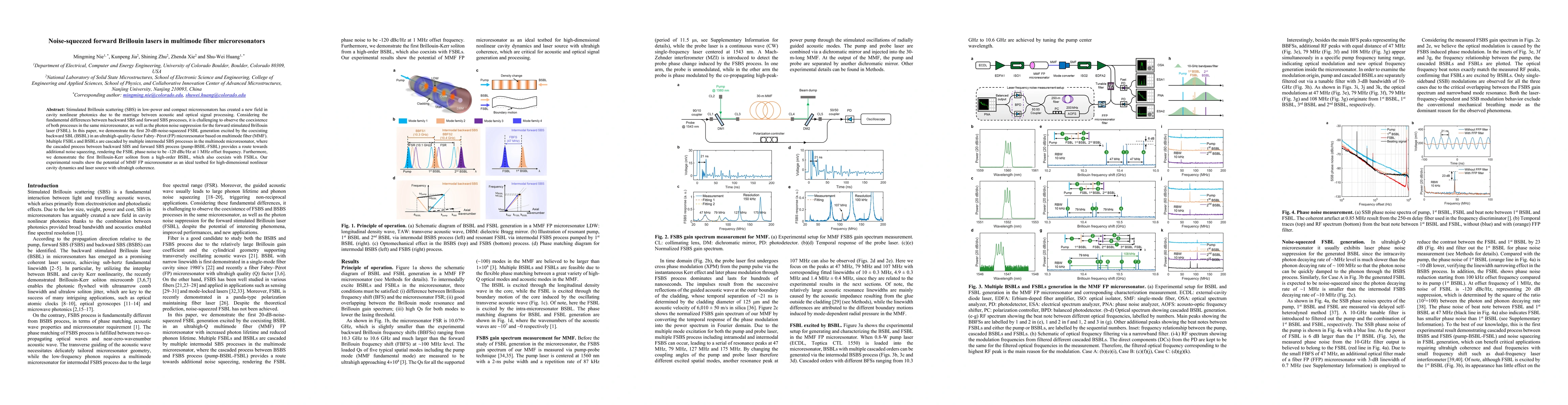 Thumbnail for Noise-squeezed forward Brillouin lasers in multimode fiber
  microresonators
