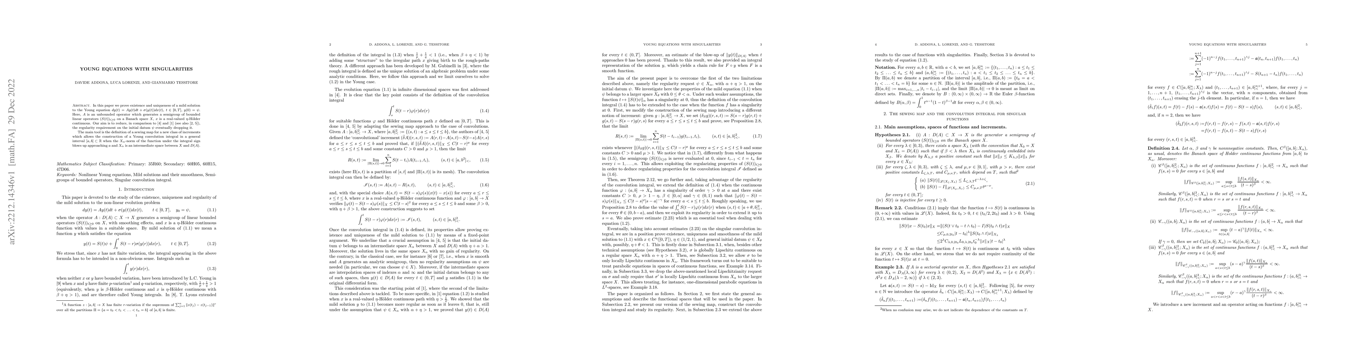 Thumbnail for Young equations with singularities