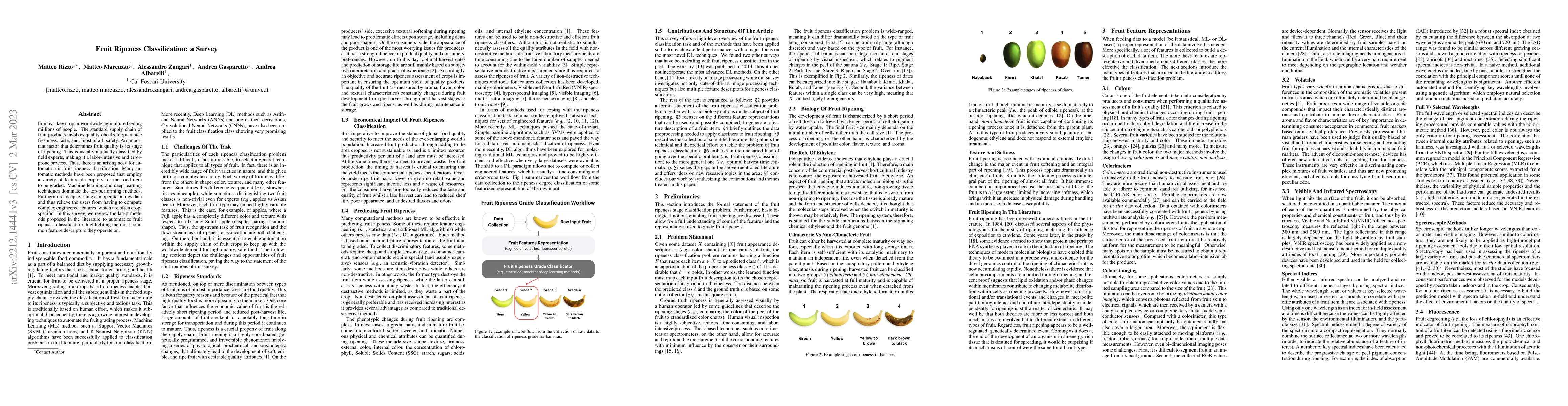 Thumbnail for Fruit Ripeness Classification: a Survey