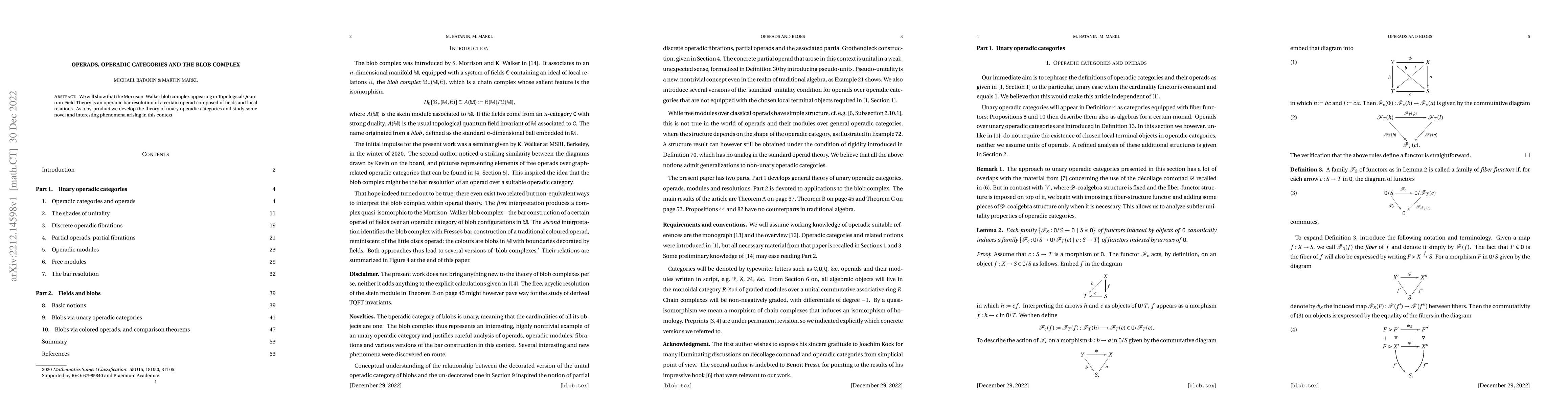 Thumbnail for Operads, operadic categories and the blob complex