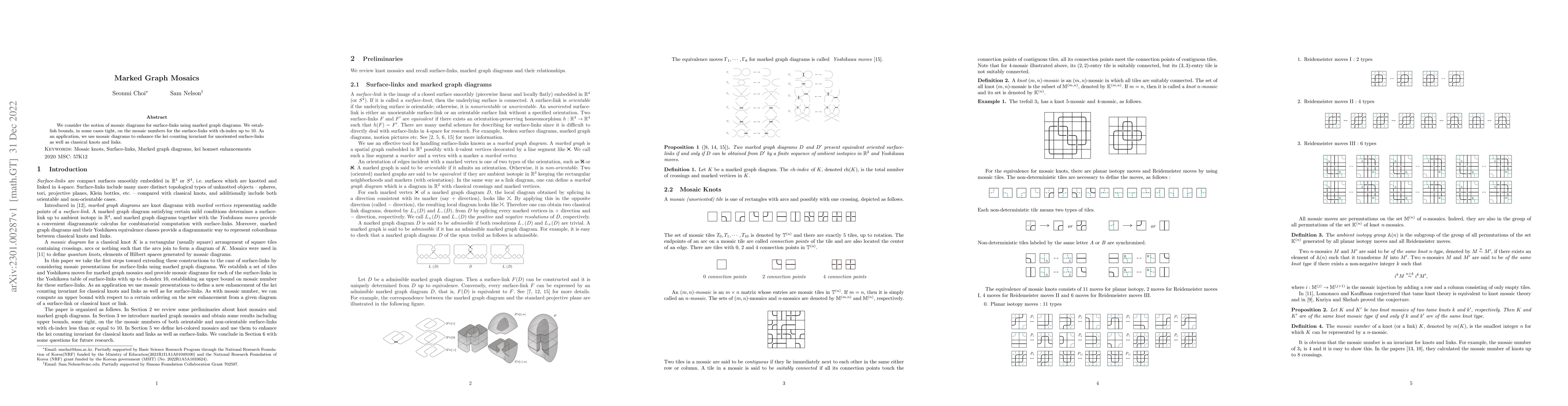 Thumbnail for Marked Graph Mosaics