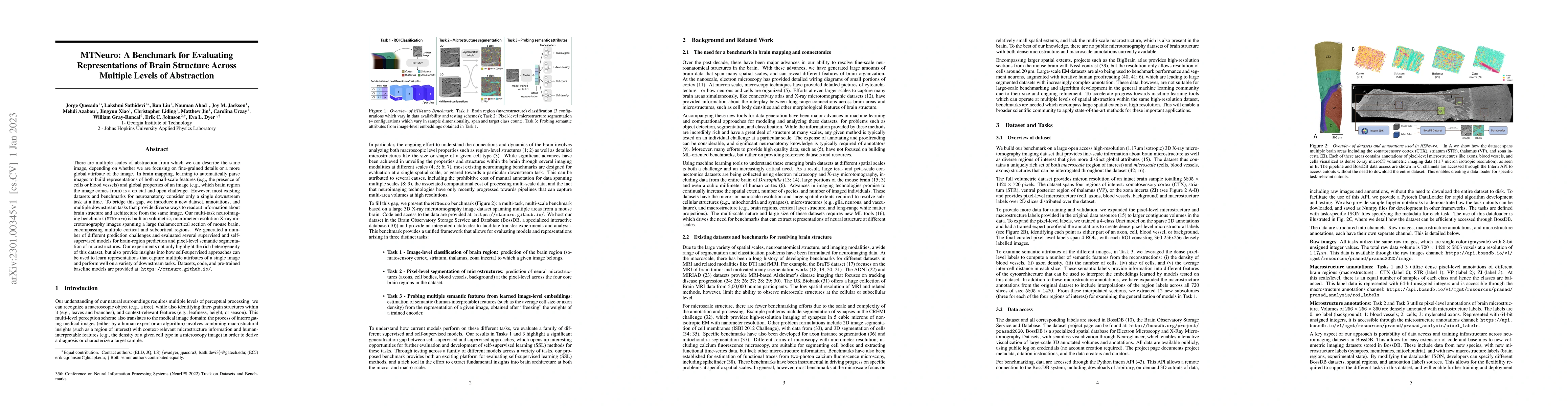 Thumbnail for MTNeuro: A Benchmark for Evaluating Representations of Brain Structure
  Across Multiple Levels of Abstraction