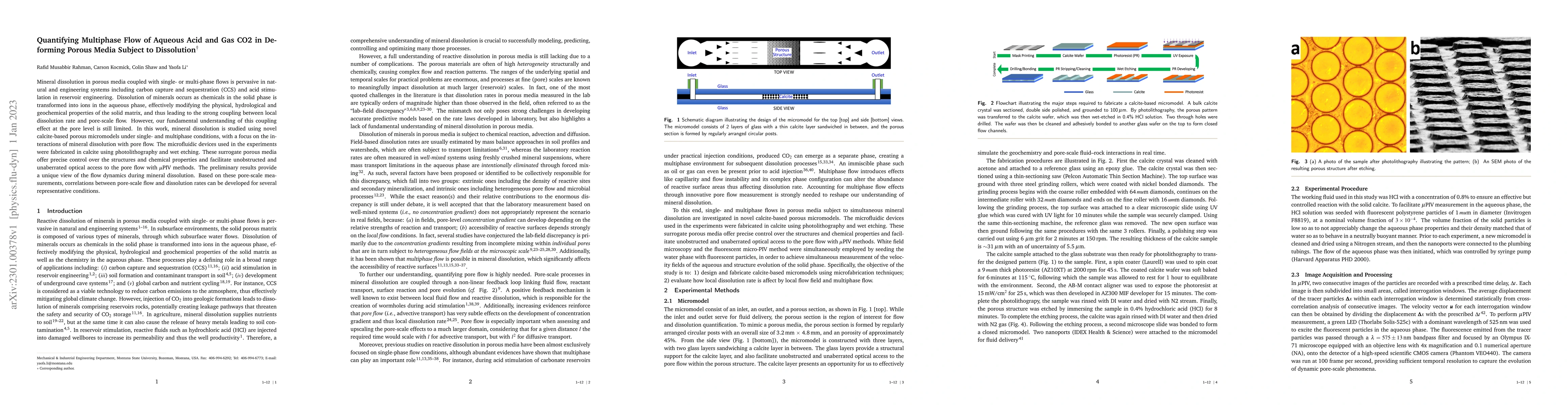 Thumbnail for Quantifying Multiphase Flow of Aqueous Acid and Gas CO$_2$ in Deforming
  Porous Media Subject to Dissolution
