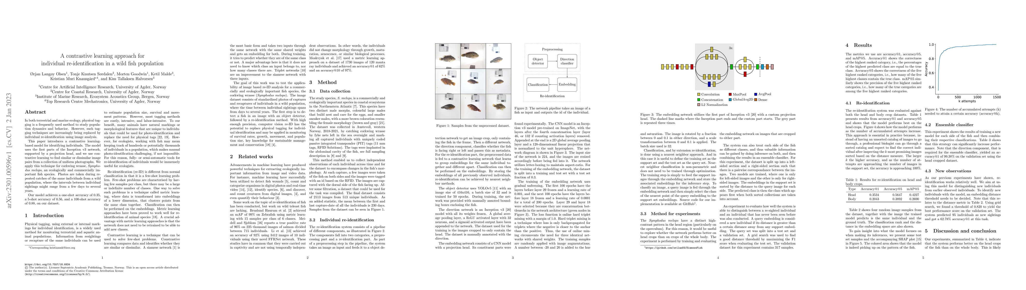 Thumbnail for A contrastive learning approach for individual re-identification in a
  wild fish population