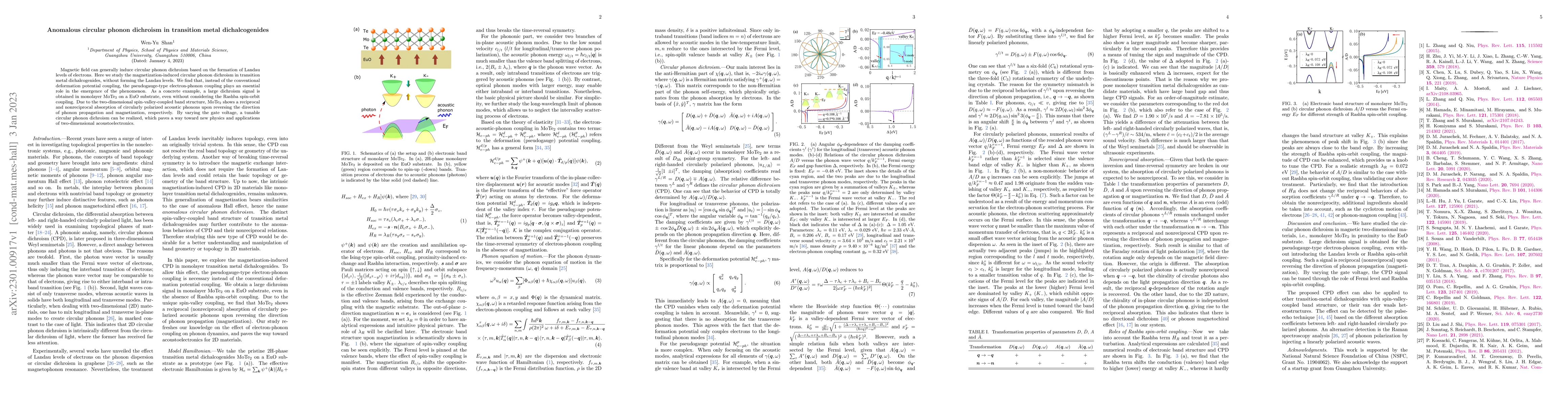 Thumbnail for Anomalous circular phonon dichroism in transition metal dichalcogenides