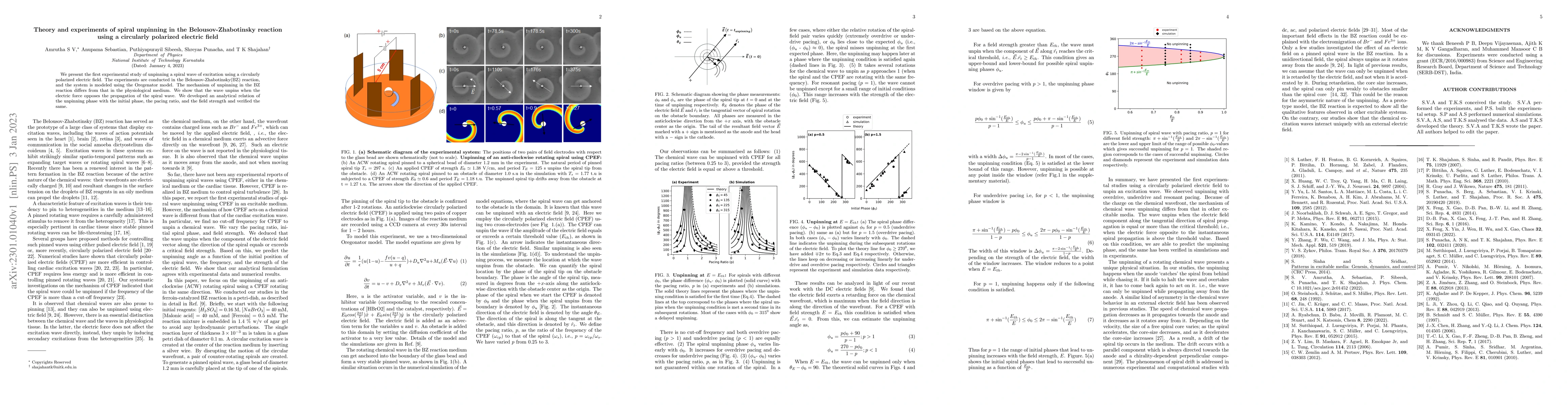 Thumbnail for Theory and experiments of spiral unpinning in the Belousov-Zhabotinsky
  reaction using a circularly polarized electric field