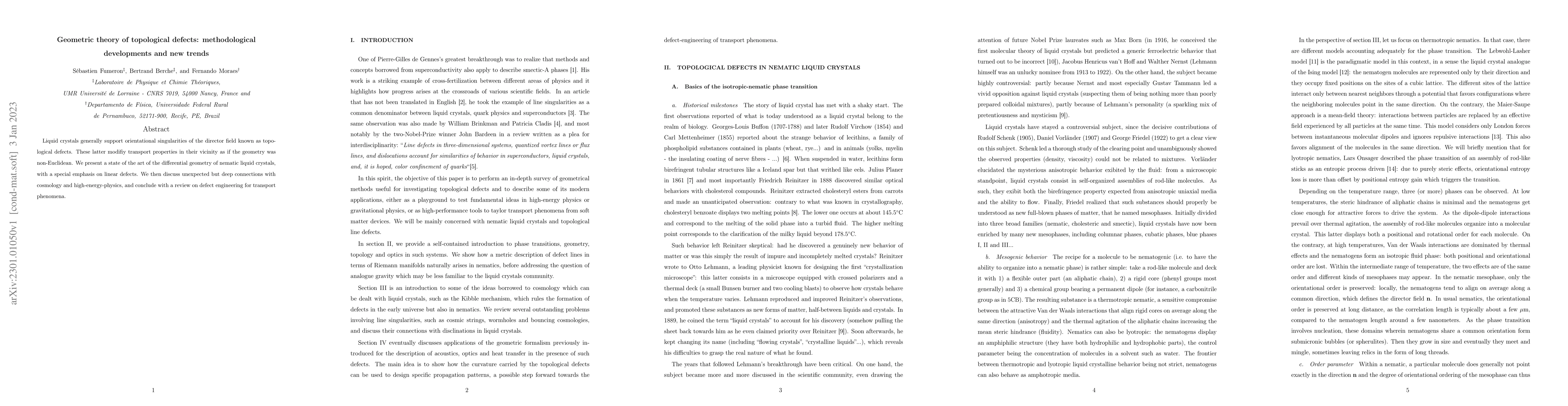 Thumbnail for Geometric theory of topological defects: methodological developments and
  new trends