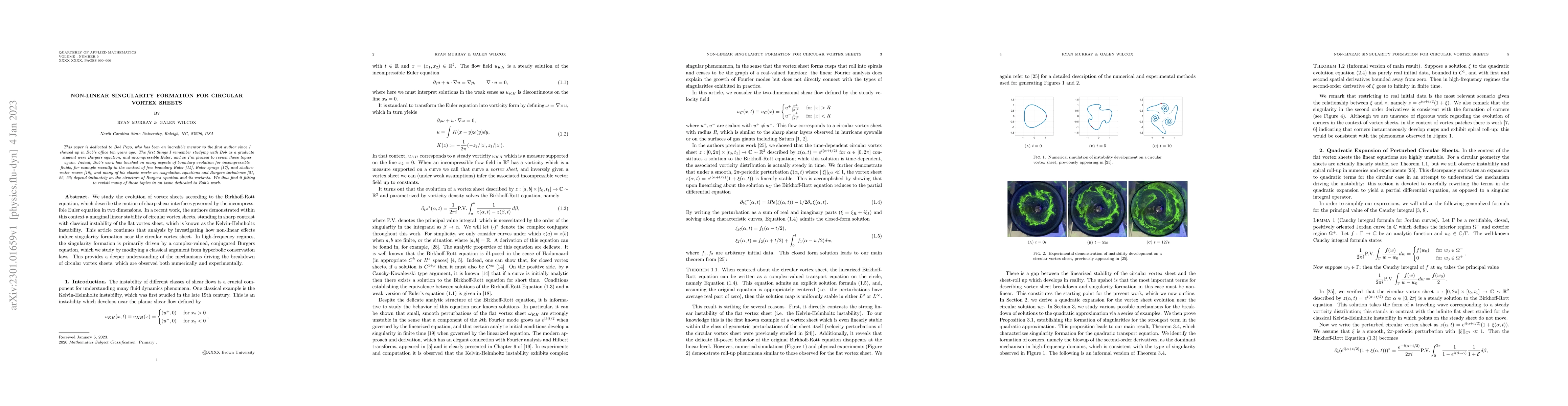 Thumbnail for Non-Linear Singularity Formation for Circular Vortex Sheets
