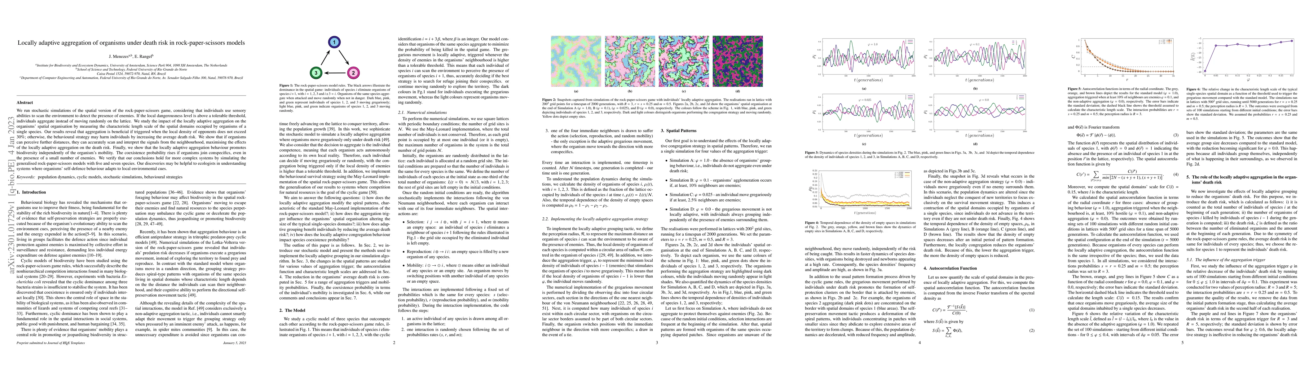 Thumbnail for Locally adaptive aggregation of organisms under death risk in
  rock-paper-scissors models