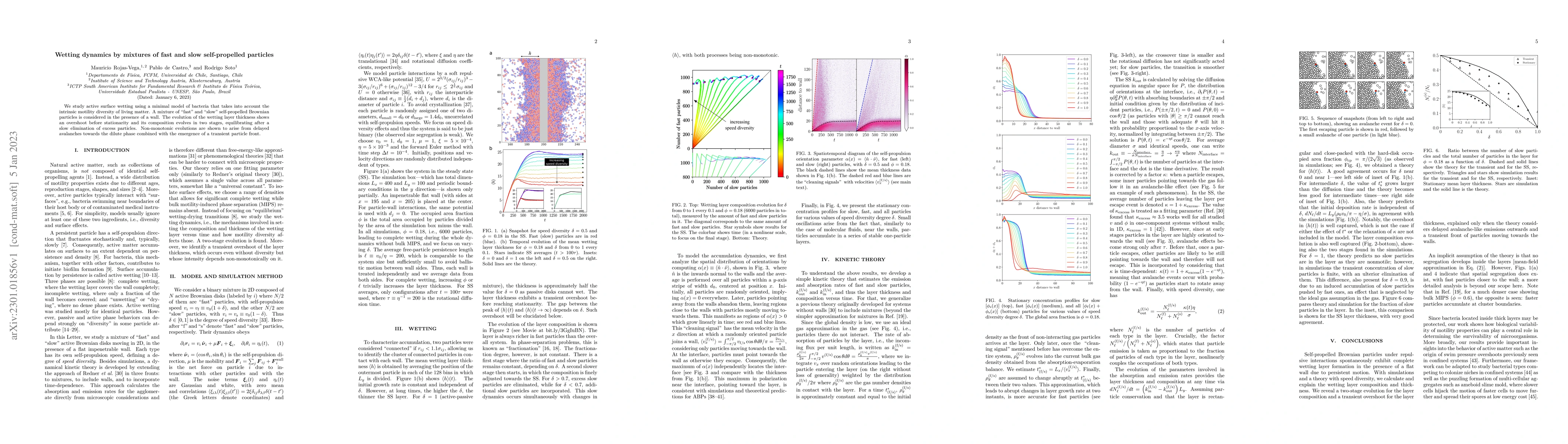 Thumbnail for Wetting dynamics by mixtures of fast and slow self-propelled particles