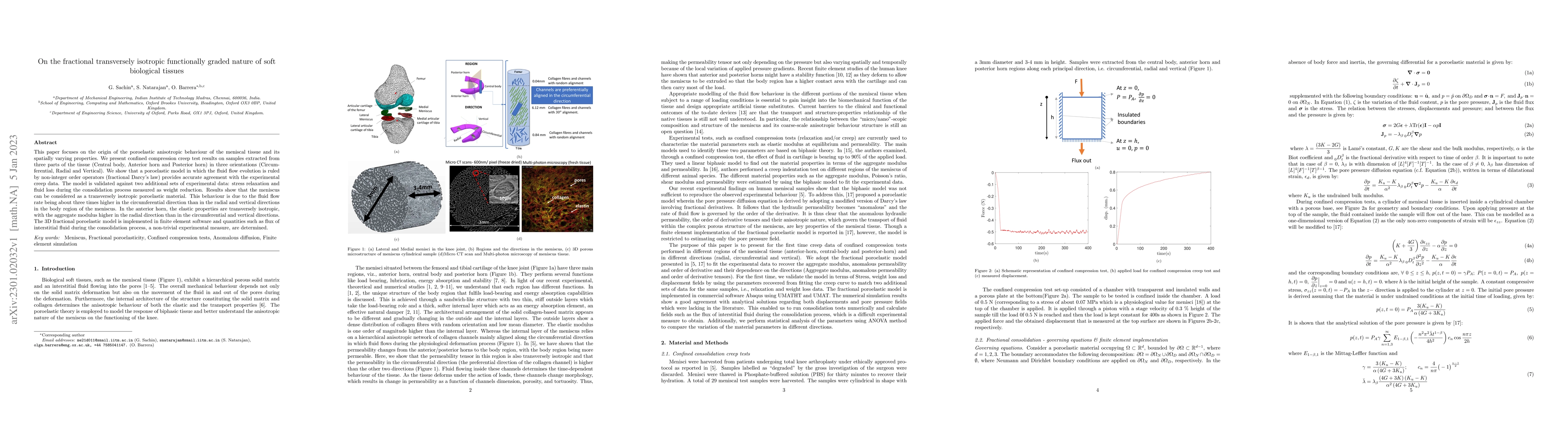 Thumbnail for On the fractional transversely isotropic functionally graded nature of
  soft biological tissues