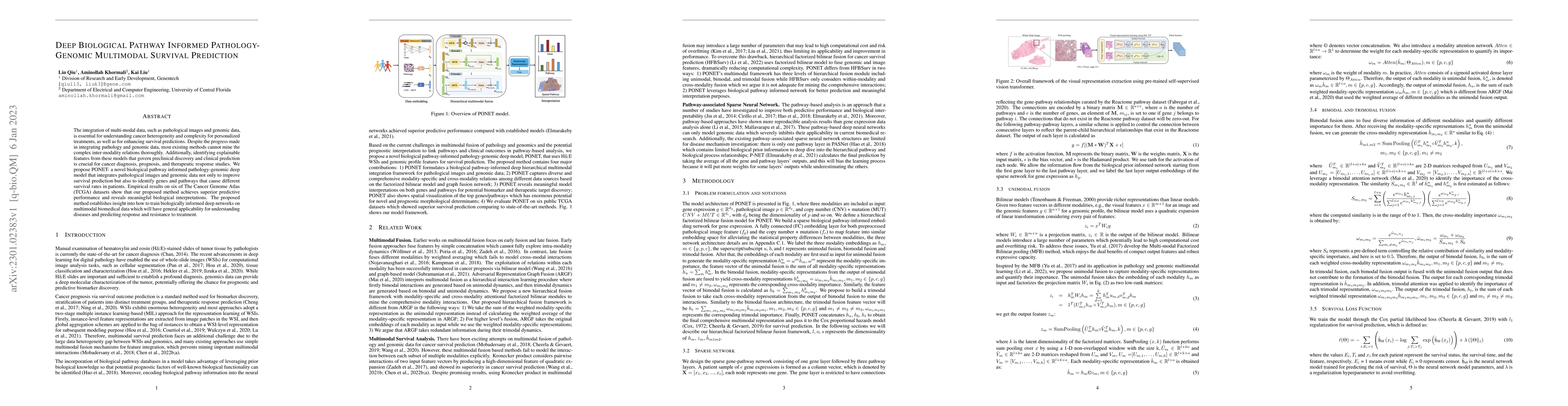 Thumbnail for Deep Biological Pathway Informed Pathology-Genomic Multimodal Survival
  Prediction