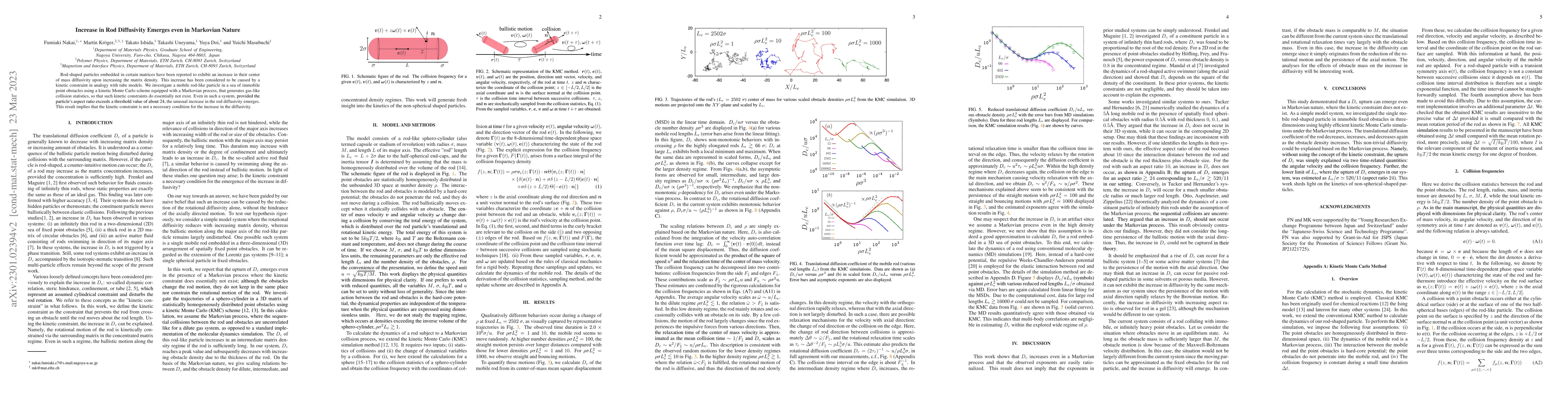 Thumbnail for Increase in rod diffusivity emerges even in Markovian nature